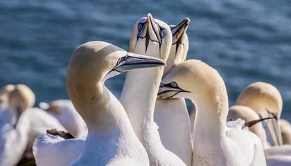 开云体育网址-比赛中的心理调节术：抗压能力提升指南，比赛心理调节方法