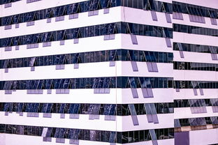 开云权威入口-体育新闻中心建设体育数字内容版权保护体系，体育数据新闻